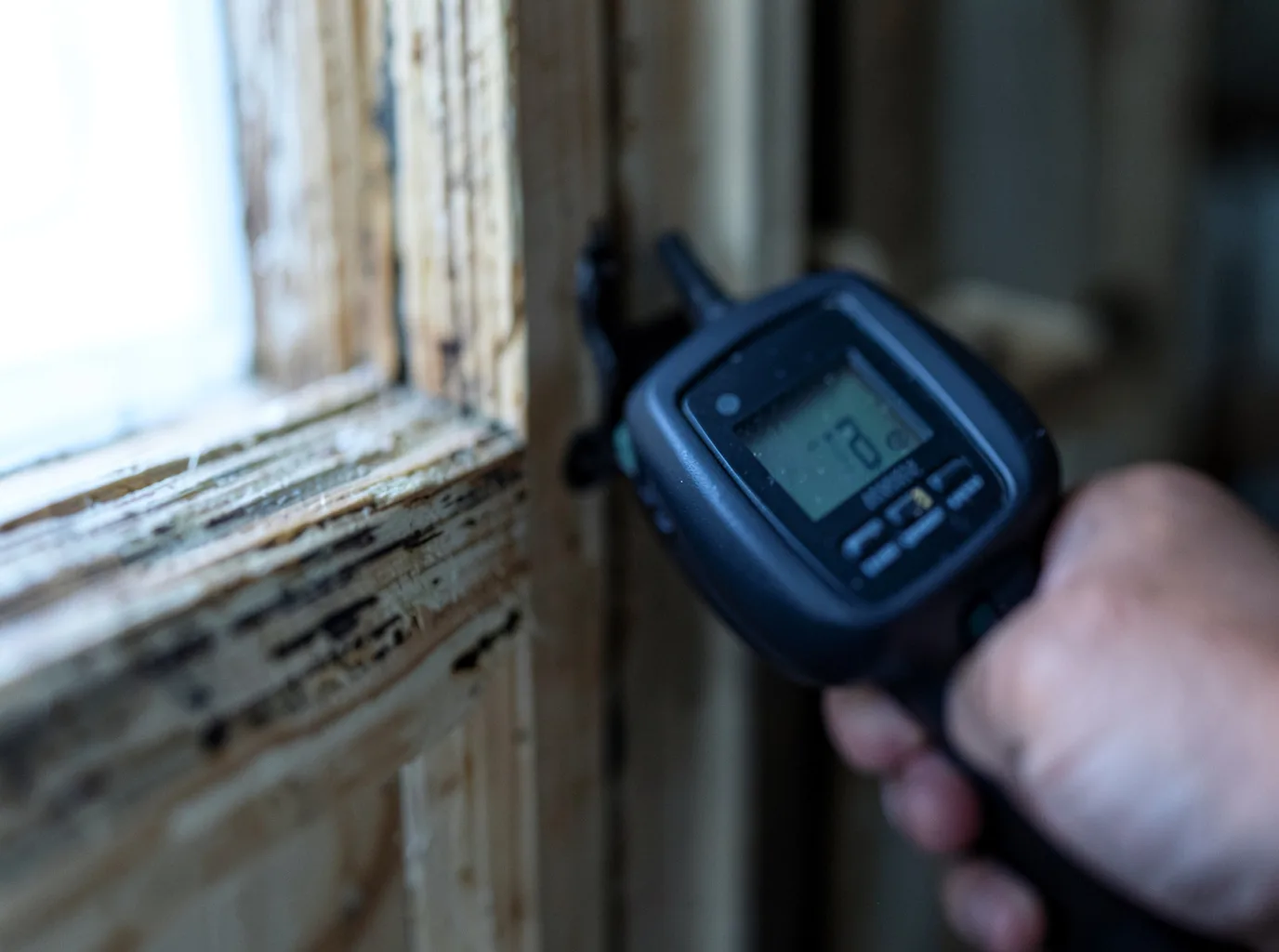 Water Damage Restoration Celeste, TX FAQs